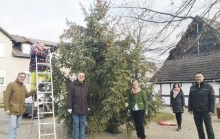 Weihnachtsbaum Börßum - ©Privat