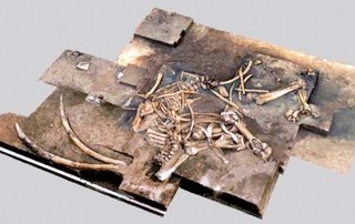 300000_Jahre_alter_Elefant©privat