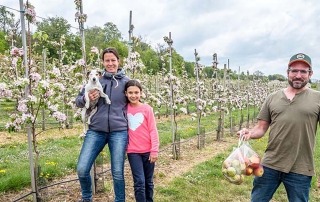 Molks_Obstplantage©Marcus_Kordilla