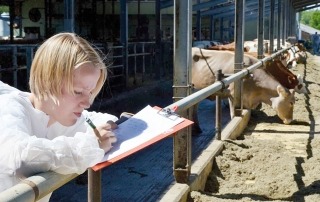 GielderLandwirtin©privat