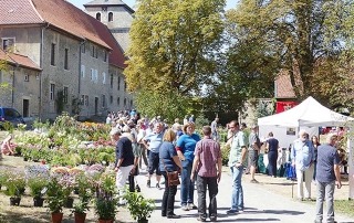 Kunsthandwerkermarkt_Lucklum©privat