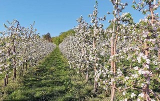 Landpartie©Obsthof_Halbhuber