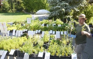 Regionalmarkt_Heiningen©privat