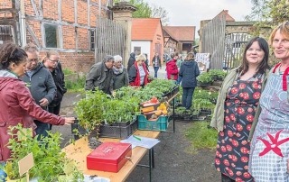 Tomatenmarkt_Moenchevahlberg©Marcus_Kordilla