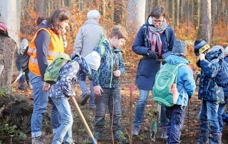 Baumhaus_Loewe-Pfad©Niedersaechsische_Landesforsten