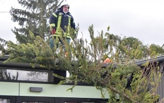 Kita_Halchter©Harald_Seipold