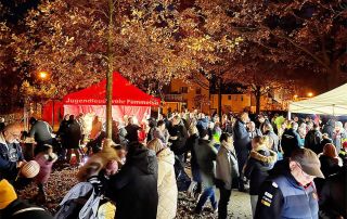 Lampionumzug©privat