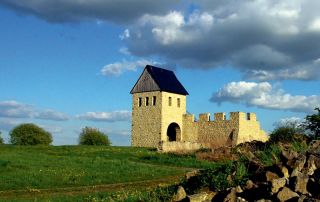 Werla©Henning_Meyer